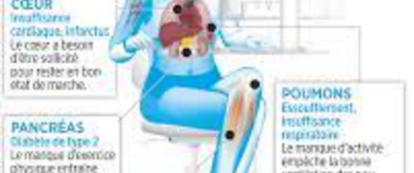 Chez les survivants d’un cancer, la sédentarité est associée à un risque de mortalité plus élevé