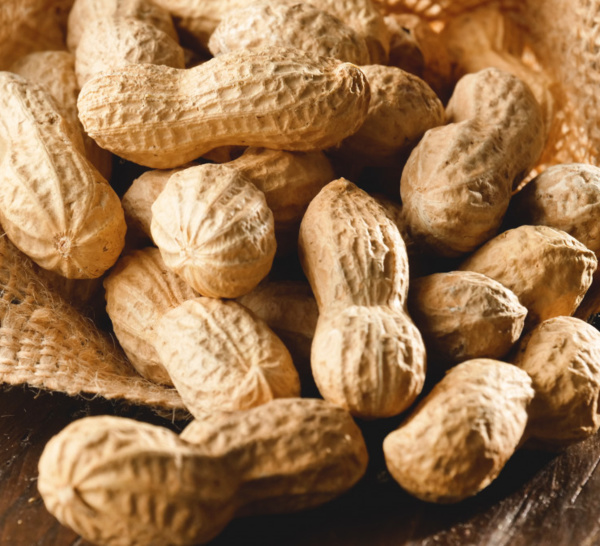 Allergie à l’arachide : efficacité des patchs de désensibilisation chez les moins de 4 ans