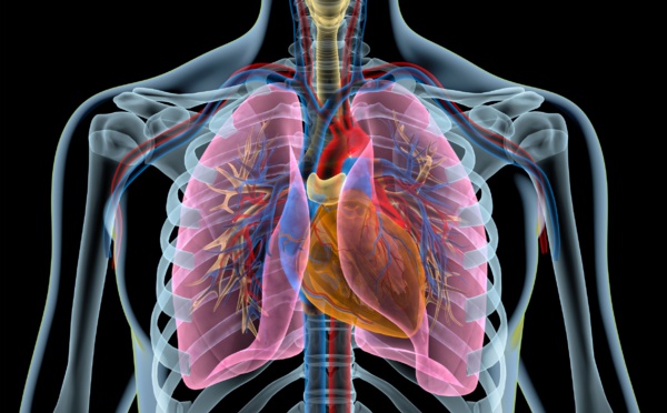 Cancer bronchique en 2020 : nouveaux résultats d'une cohorte unique au monde