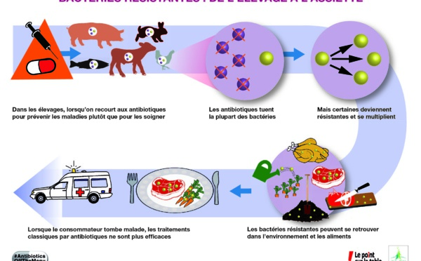 Contamination environnementale : les enjeux de l’antibiorésistance